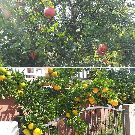 Pensión Pansion Casa Gagro 3*