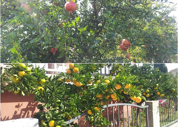 Pensionat Apartments & Rooms Casa Gagro 3*